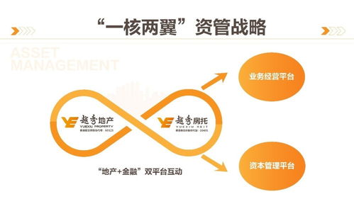 商業(yè)綜合體管理服務(wù) 構(gòu)建高效運營與卓越體驗的橋梁